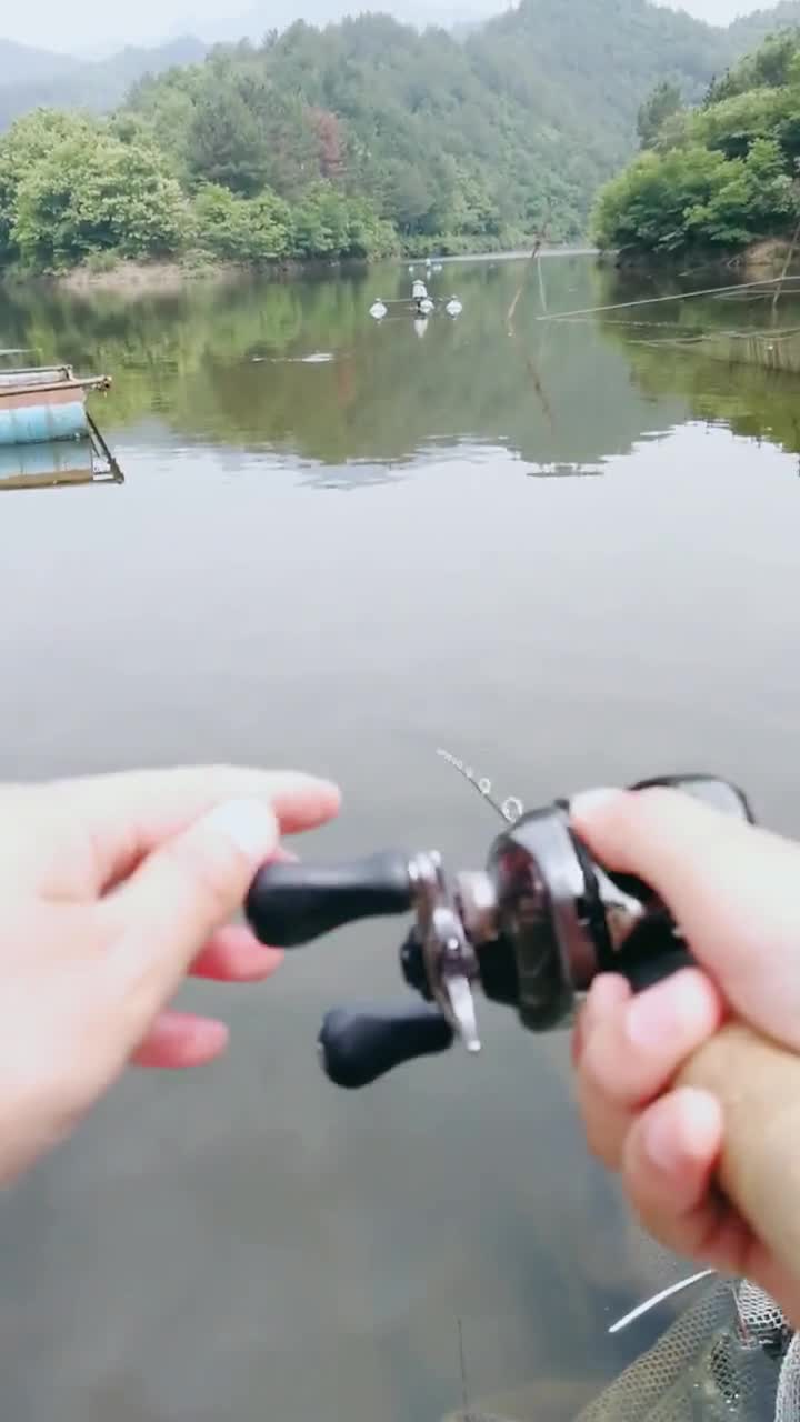 白条草鱼爆连中,微物手感玩到爆!