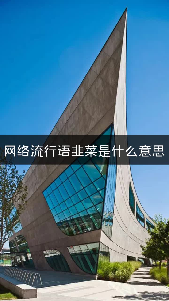 网络流行语韭菜是什么意思