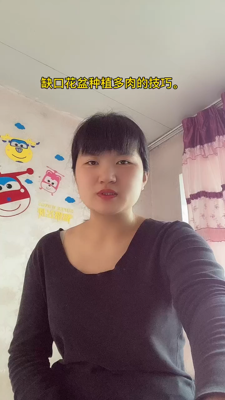 缺口花盆种植多肉的技巧。