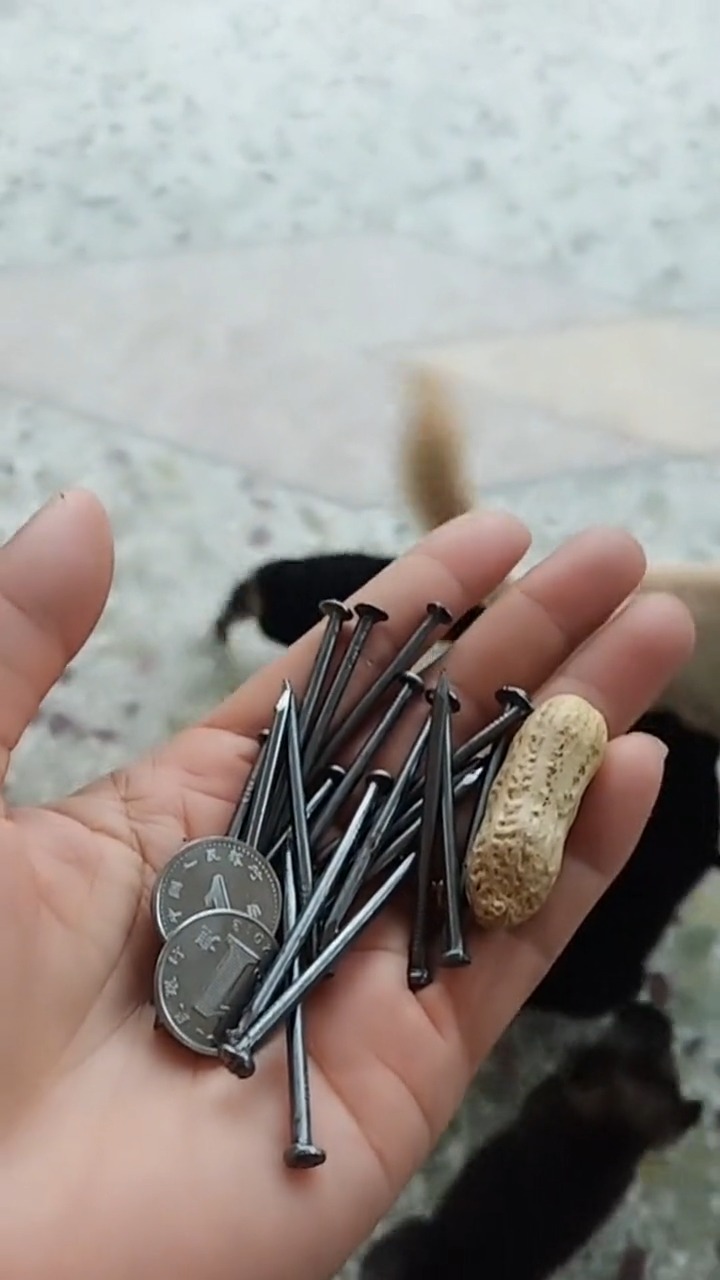 祠堂上梁大吉,个个都去抢这些,这是什么意思啊?