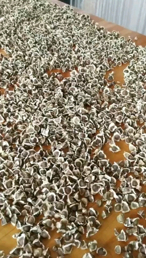 这是干什么用的