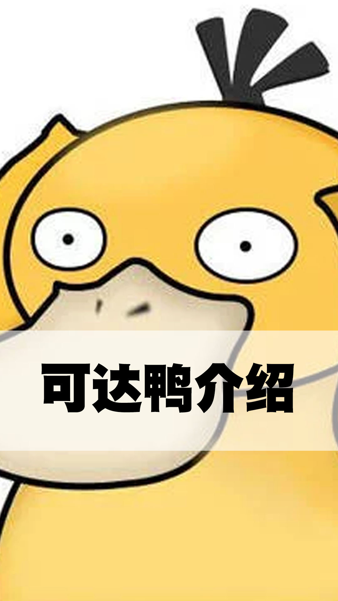 可达鸭介绍