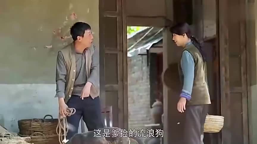俺娘田小草:父亲捡来一条流浪狗,起名叫“小旺”