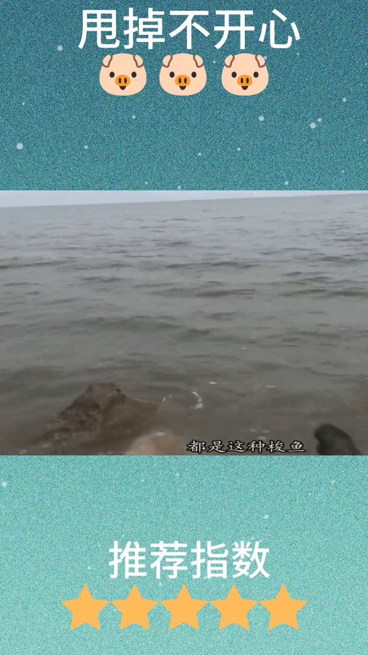 #娱乐#来到新地方赶海,抓了三条“梭鱼皇”,拿回家红烧可好吃了!