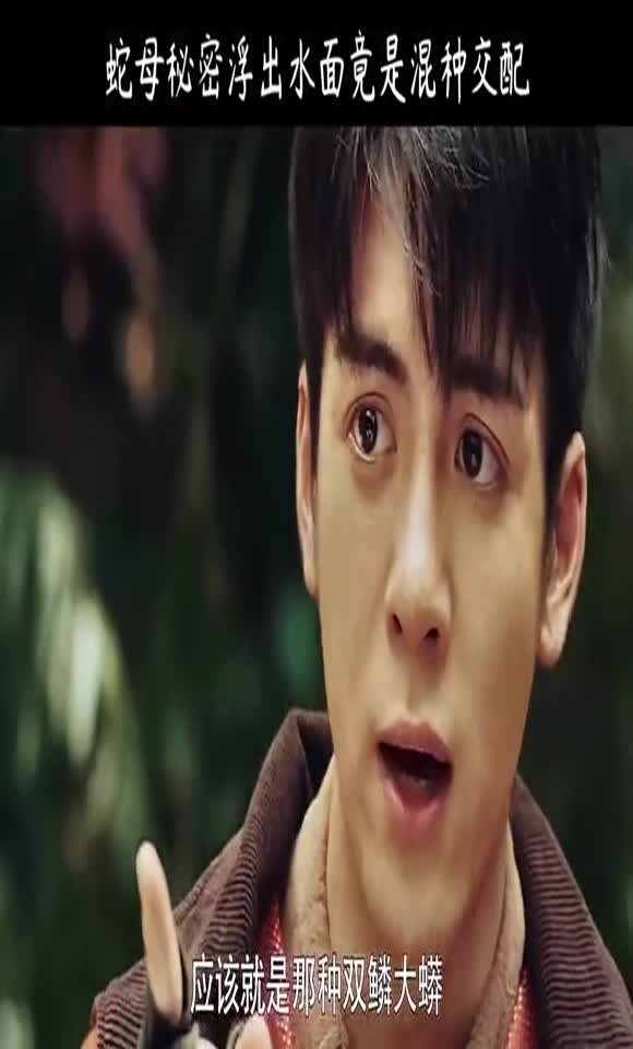 终极笔记,这是鸡头蛇吗?