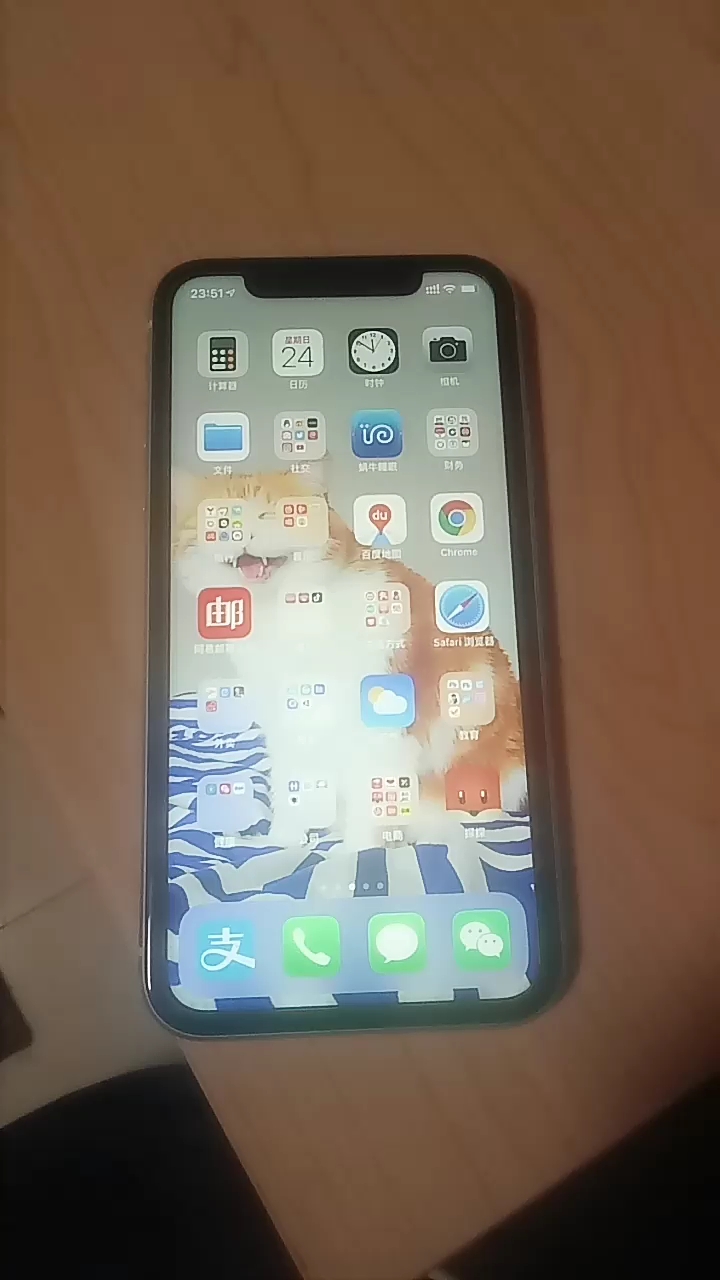 把siri玩坏了,鸡蛋用英语怎么说