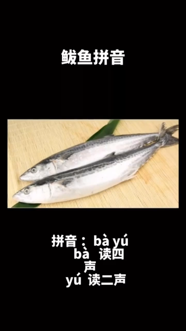你知道鲅鱼拼音怎么读嘛?