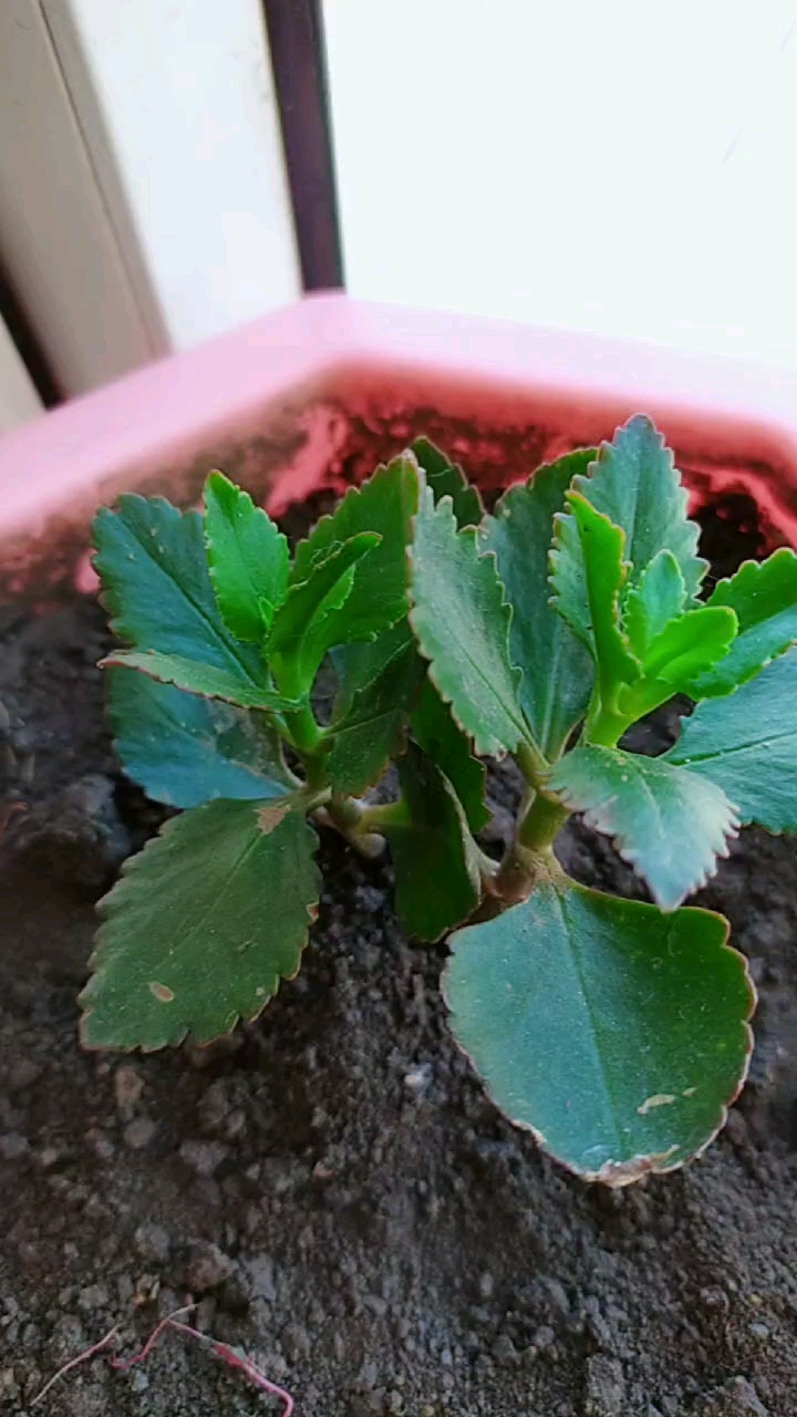 分享视频