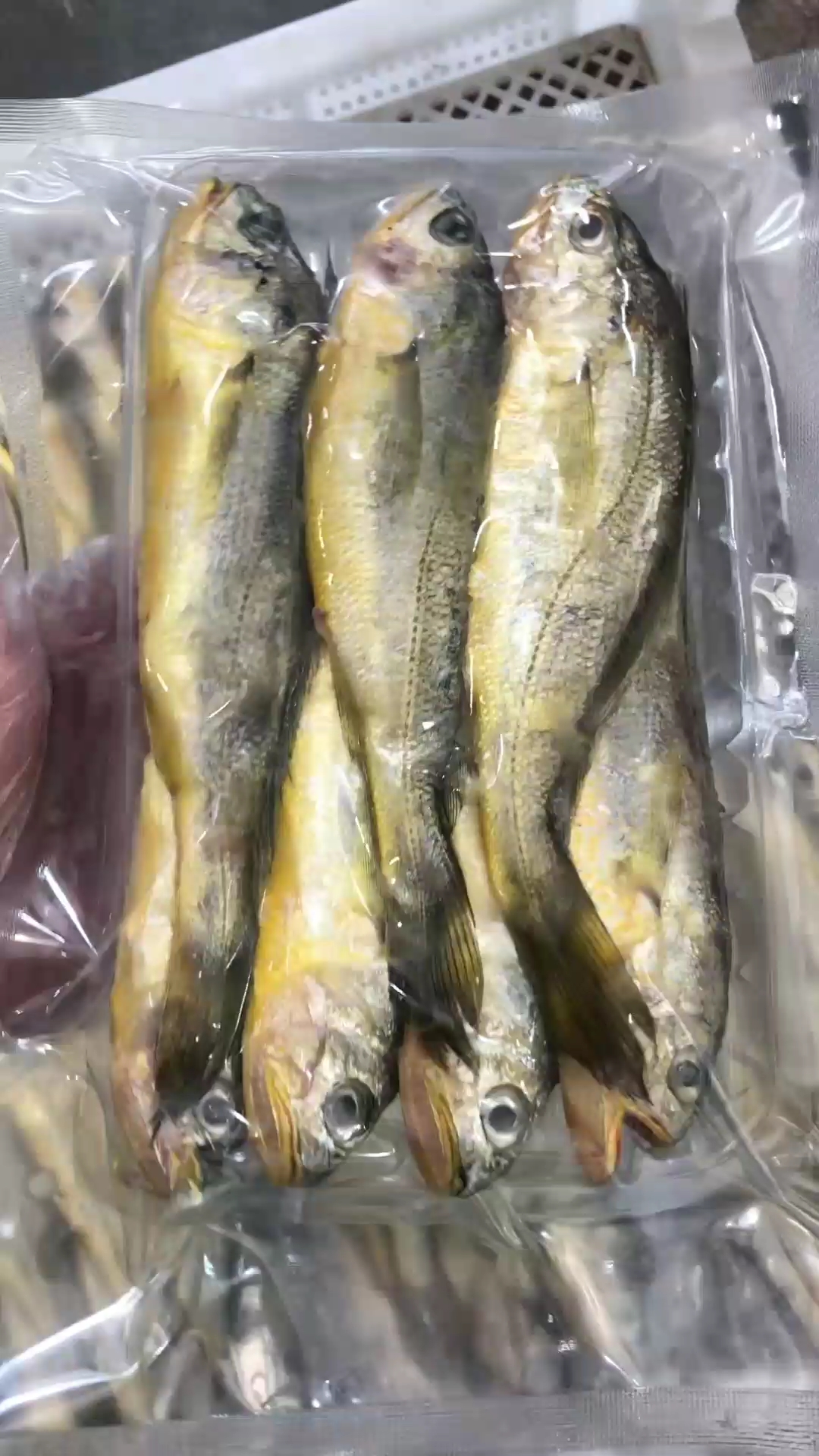 野生小黄鱼上锅清蒸8-10分钟左右即可,能吃到蒜瓣状的肉质,非常鲜美