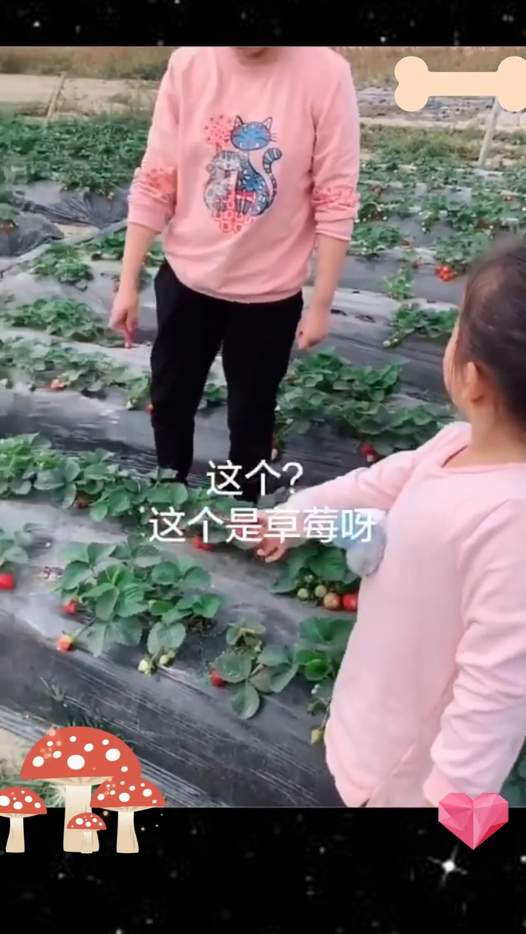 草莓用英文怎么说!