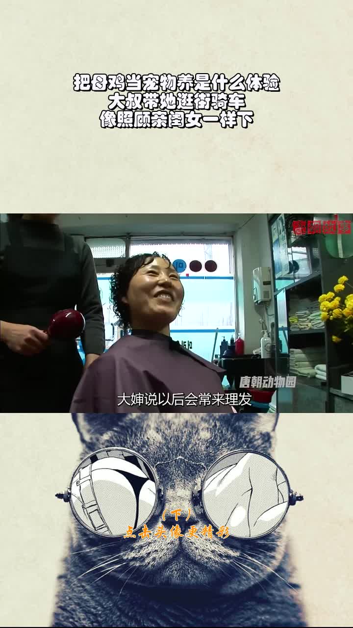 把母鸡当宠物养是什么体验,大叔带她逛街骑车,像照顾亲闺女一样下