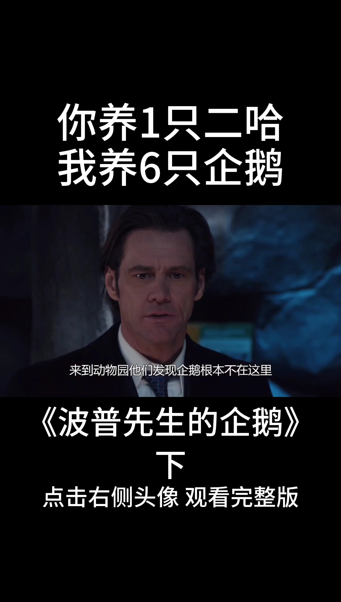 我想用六只企鹅跟你换一只拆家的二哈