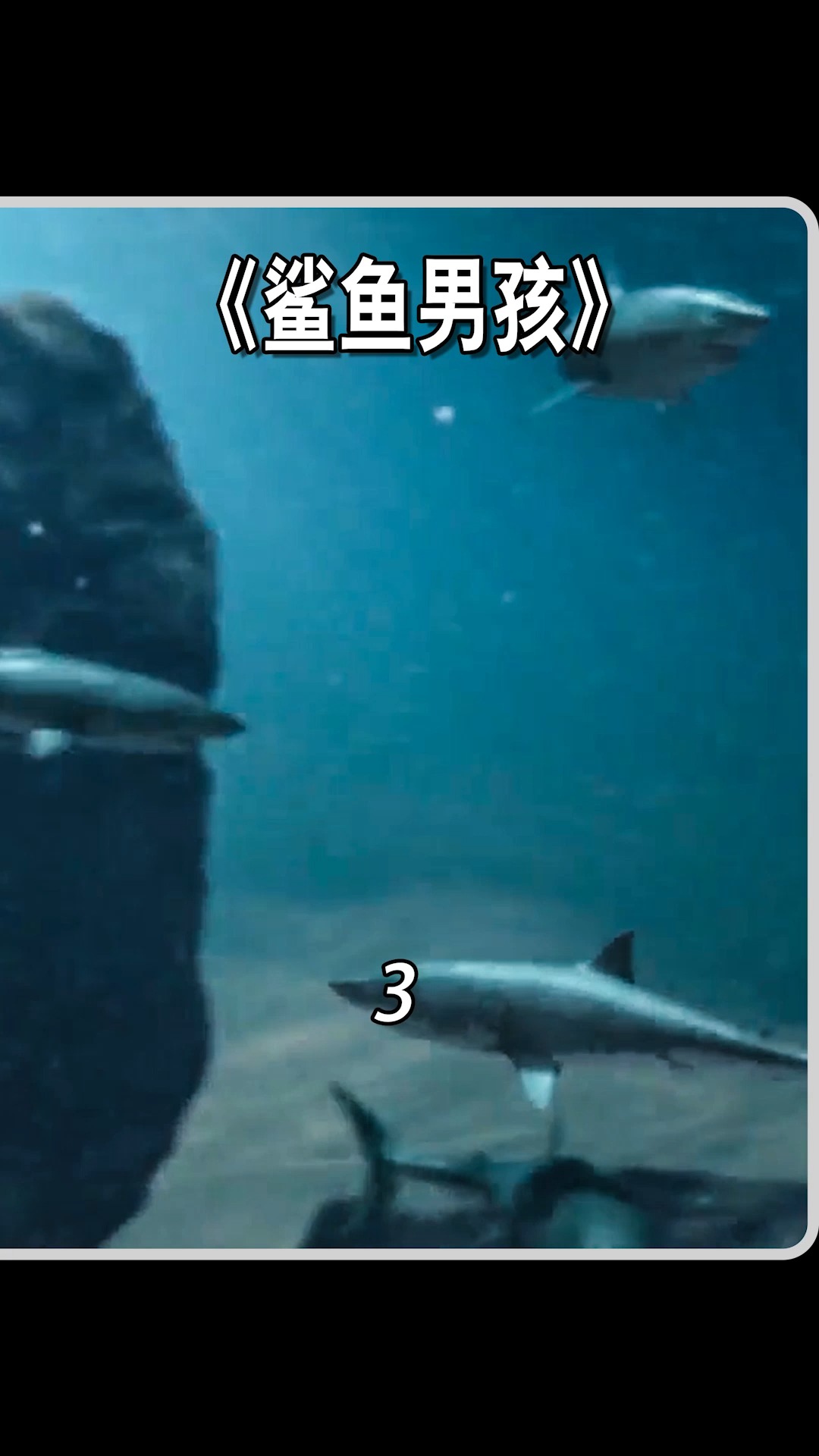 #电影解说#男孩每天给鲨鱼喂食,最后成为新一代海王