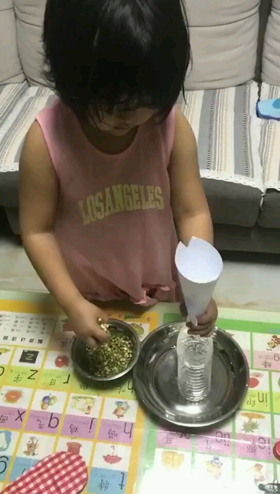 豆芽的生长过程