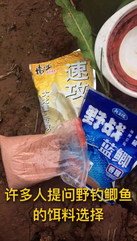 野钓鲫鱼的饵料搭配