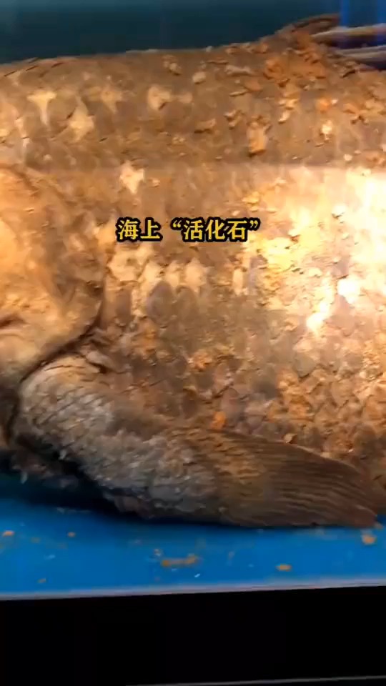 空标题....