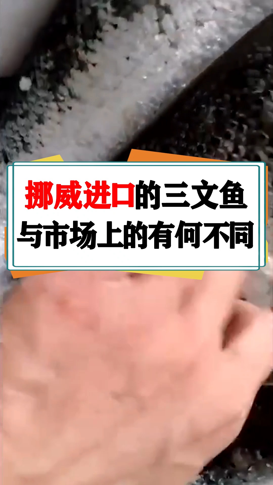 挪威进口的三文鱼,与市场上的有何不同