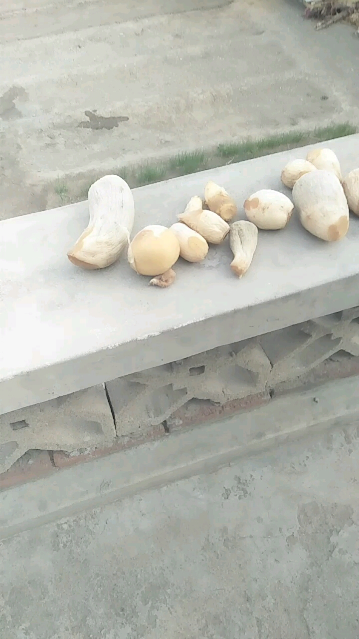 自家淹的咸菜