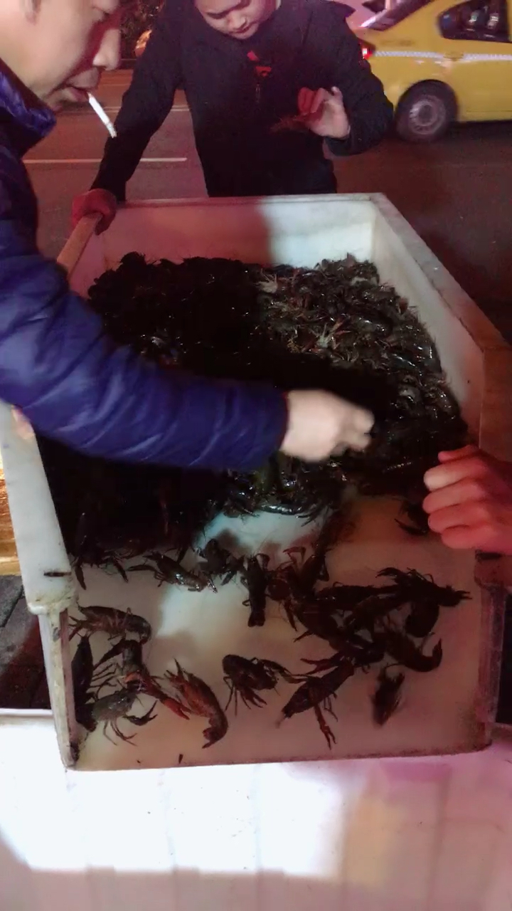新鲜的小龙虾 只要活的!