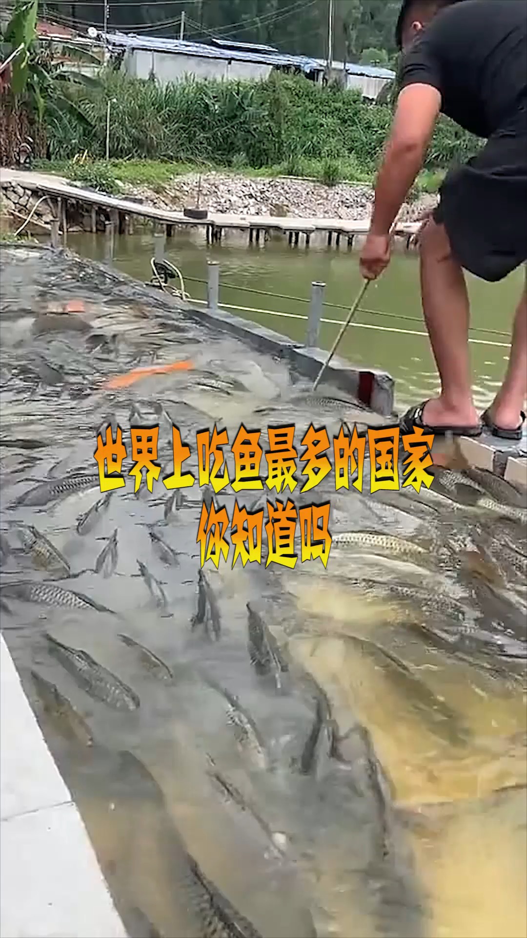 世界上吃鱼最多的国家你知道吗?