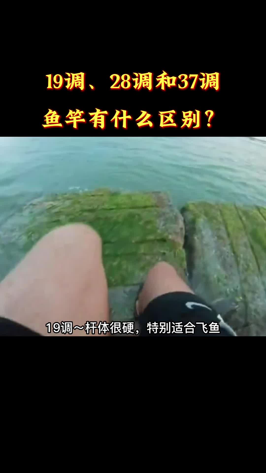 19调、28调和37调的鱼竿有什么区别?