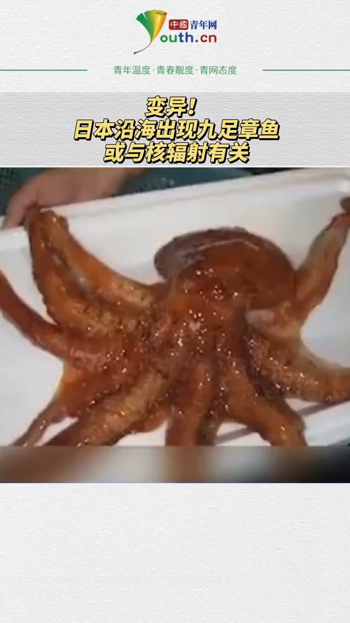 变异!日本沿海出现九足章鱼,或与核辐射有关!
