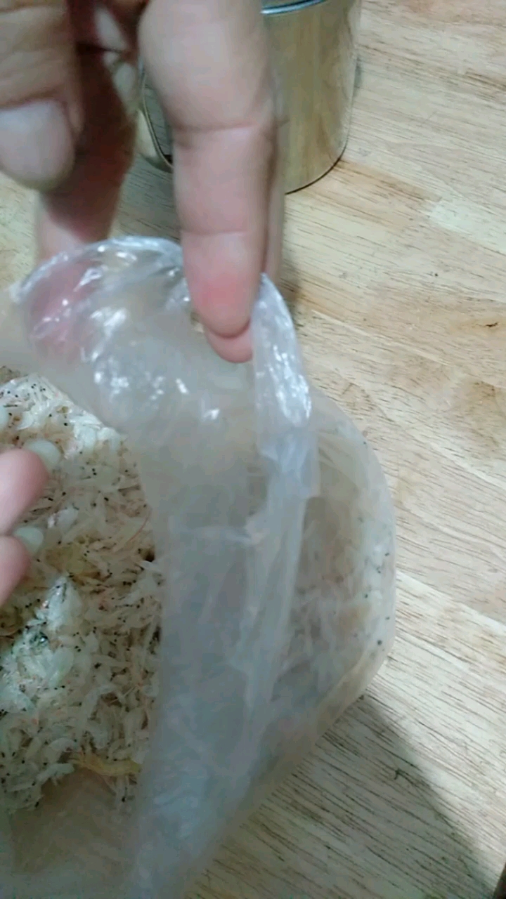 虾皮