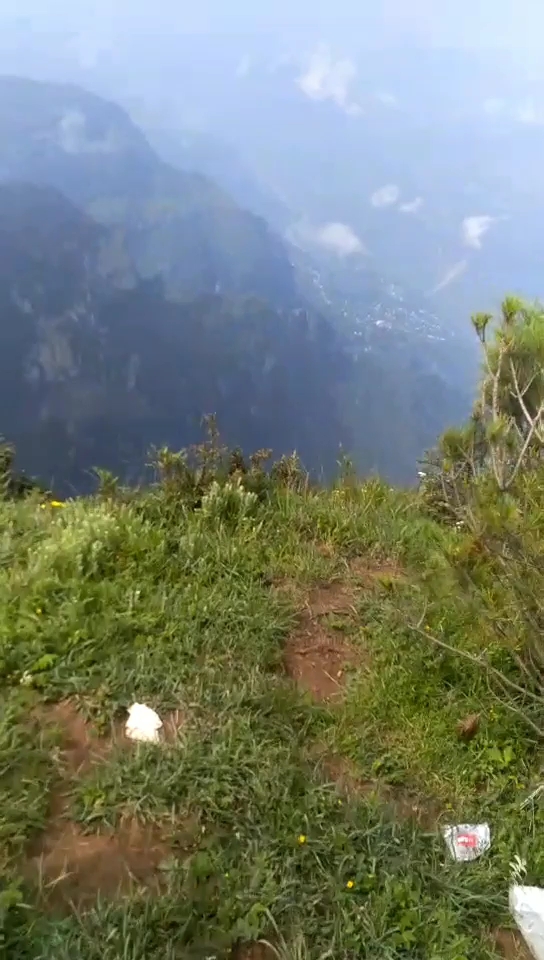 云南昭通市,大山包鸡冠山。高山大树