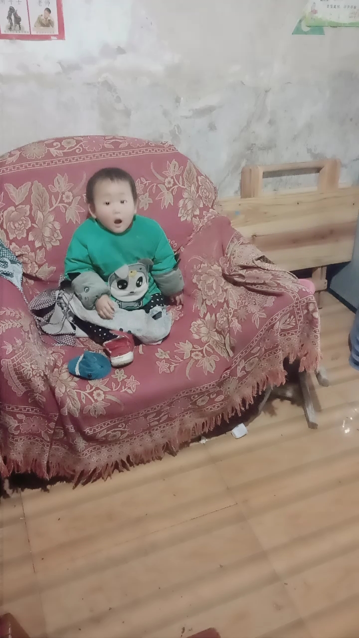 天天就喜欢看企鹅家族动画片