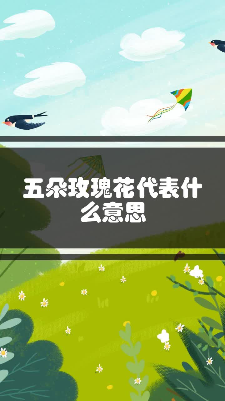 五朵玫瑰花代表什么意思