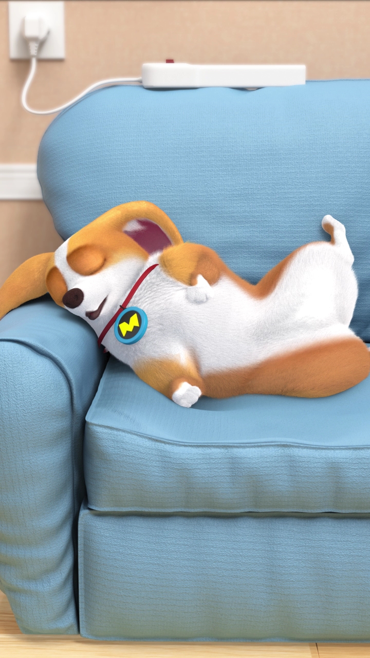 谁能告诉我,狗肉火锅涮什么比较好吃