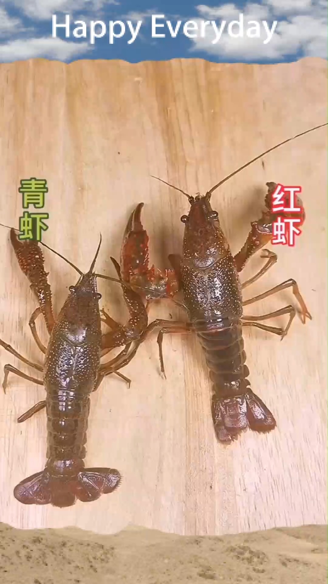 小龙虾分为青虾和红虾,那么如何区分?