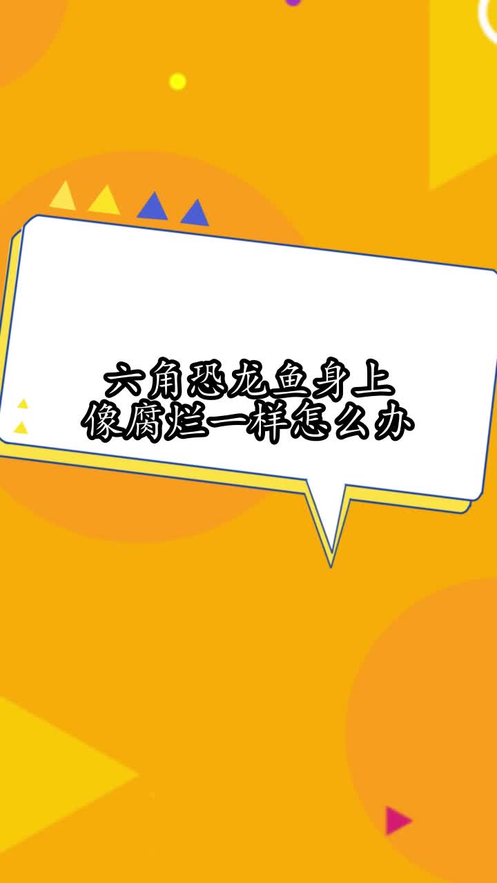 六角恐龙鱼身上像腐烂一样怎么办,你明白了吗