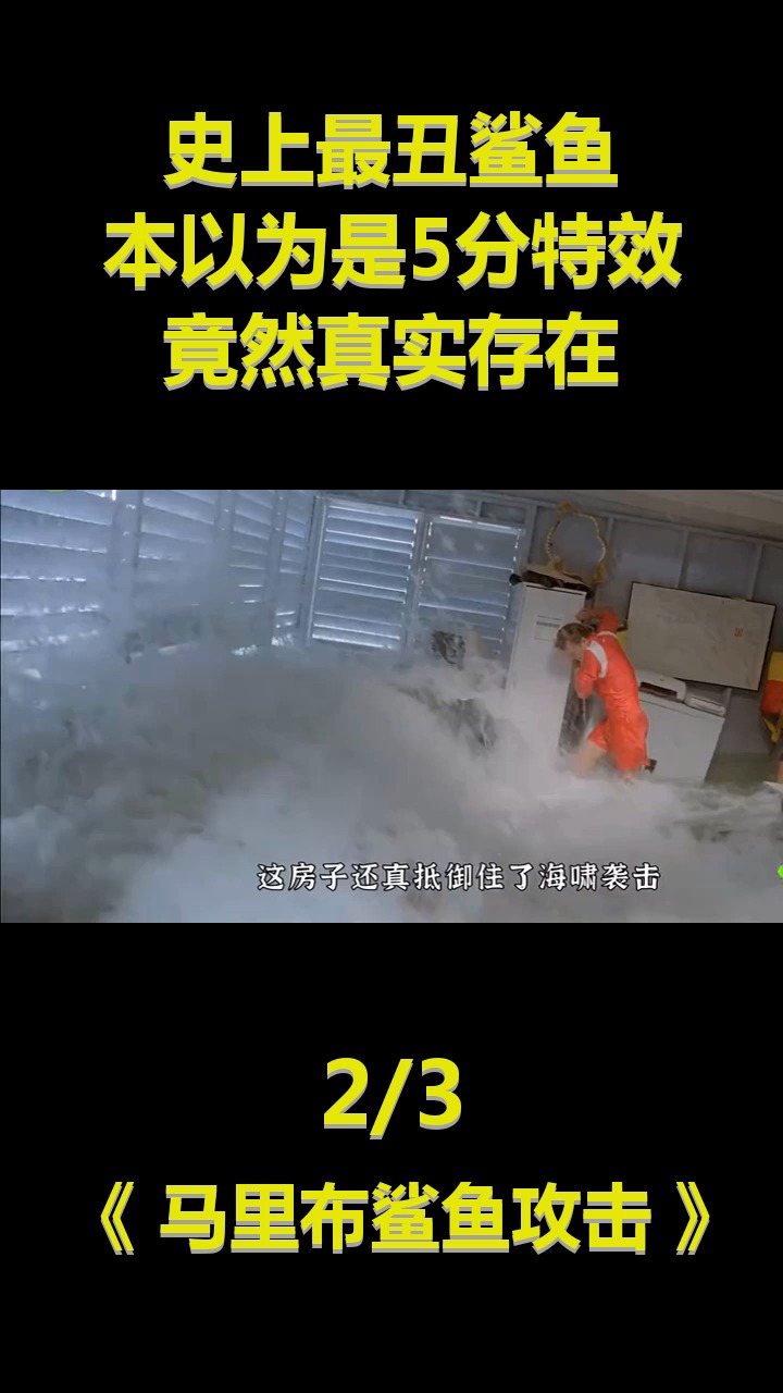 马里布鲨鱼攻击2