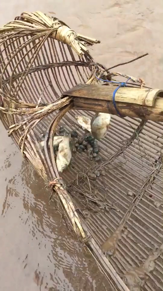 这一虾耙大小通吃!底部螺丝一起!