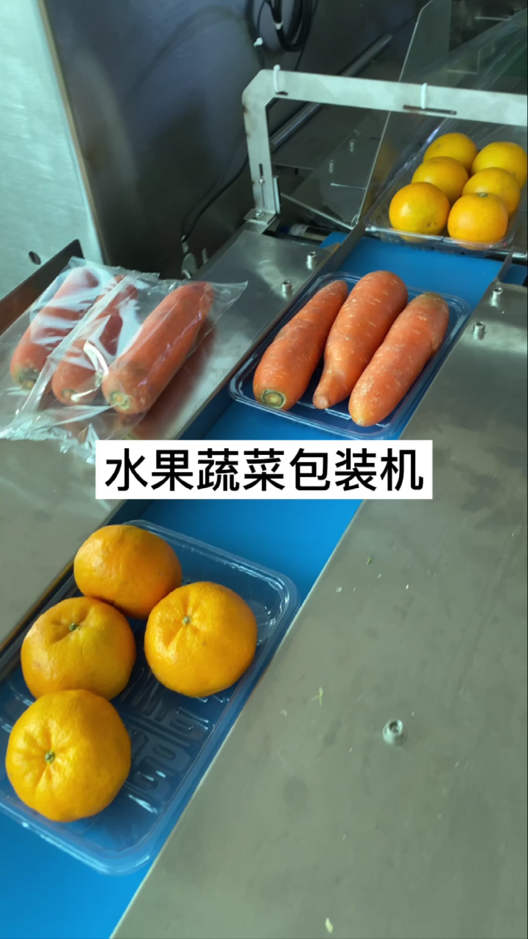 水果蔬菜托盒自动包装机械 瓜果类食材打包装套袋机