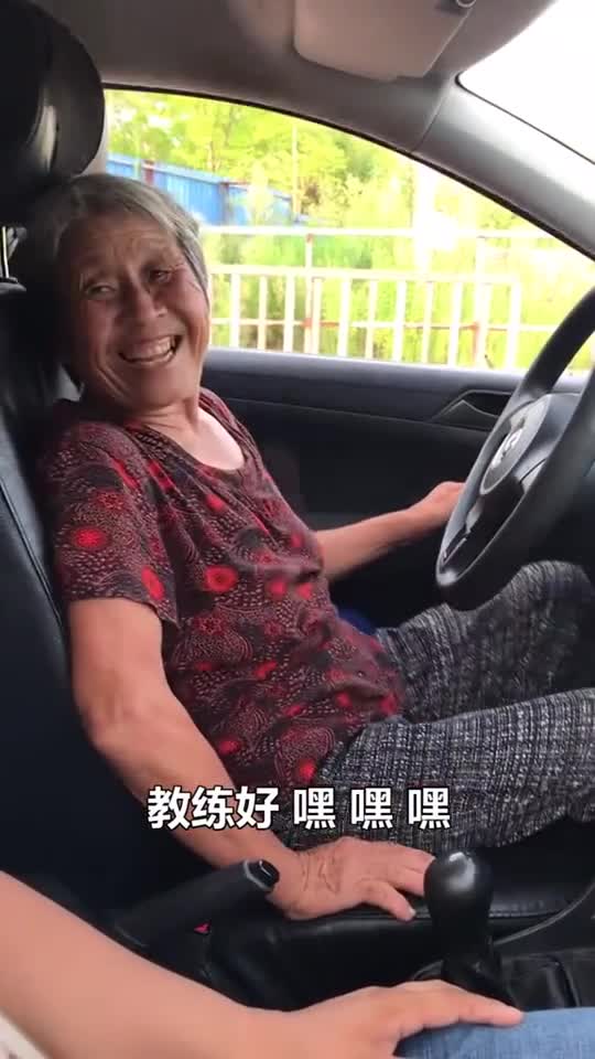 袁家婆考驾照