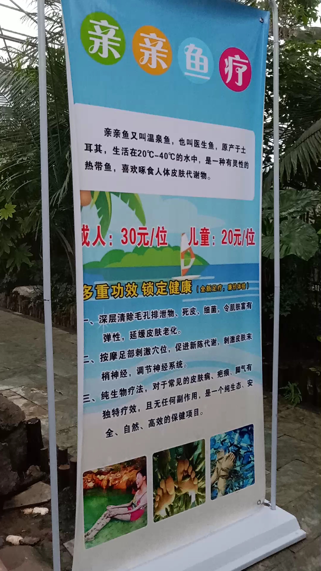 凌云温泉亲亲鱼疗