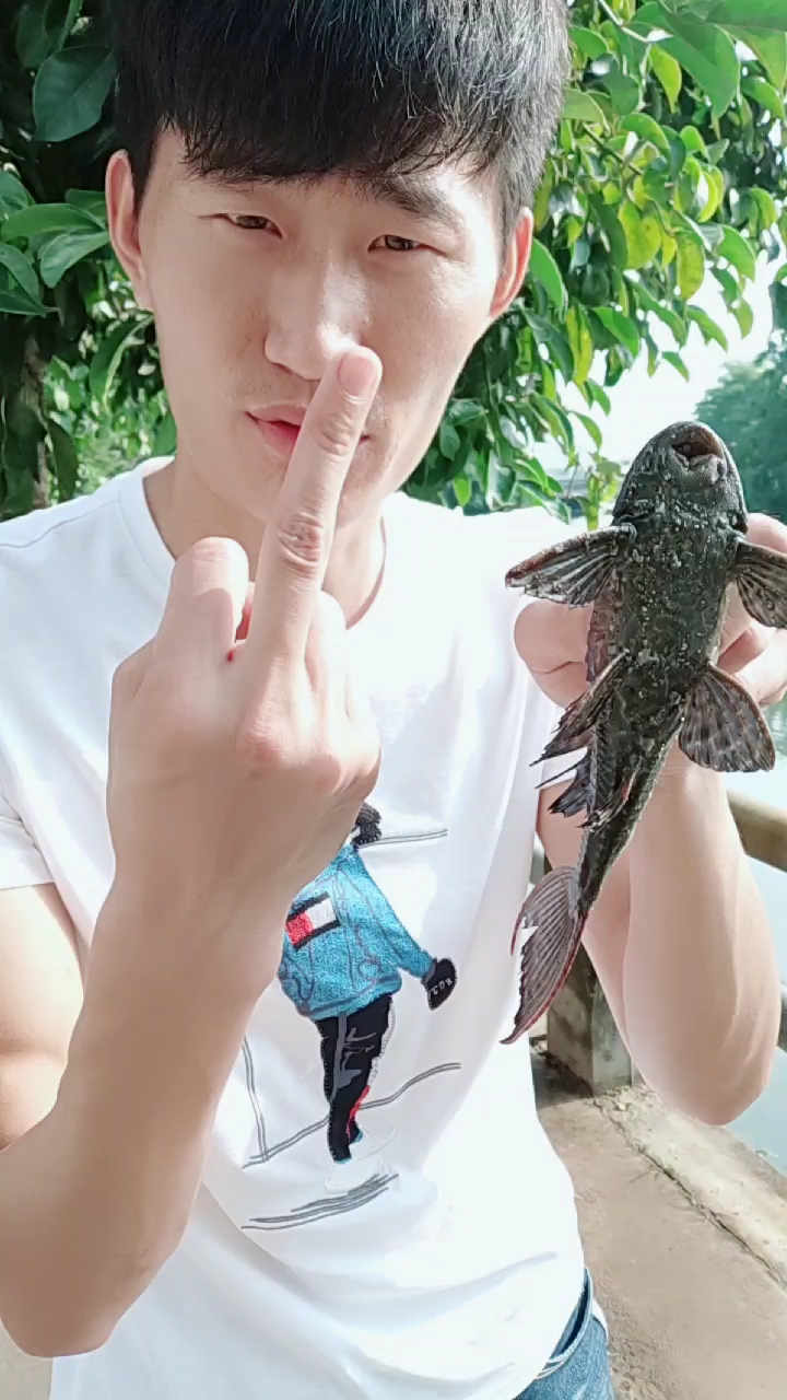 最小的清道夫,