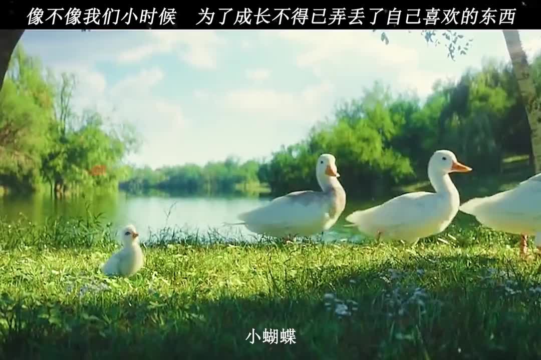 #我要上热门#小鸭子像不像我们小时候,成长过程中不得已弄丢了自己喜爱的东西,有的童年可以治