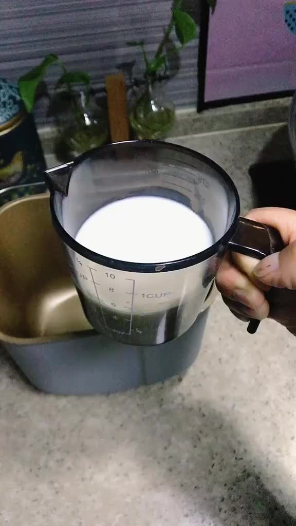 东菱面包机 手撕面包出炉了东菱早餐机