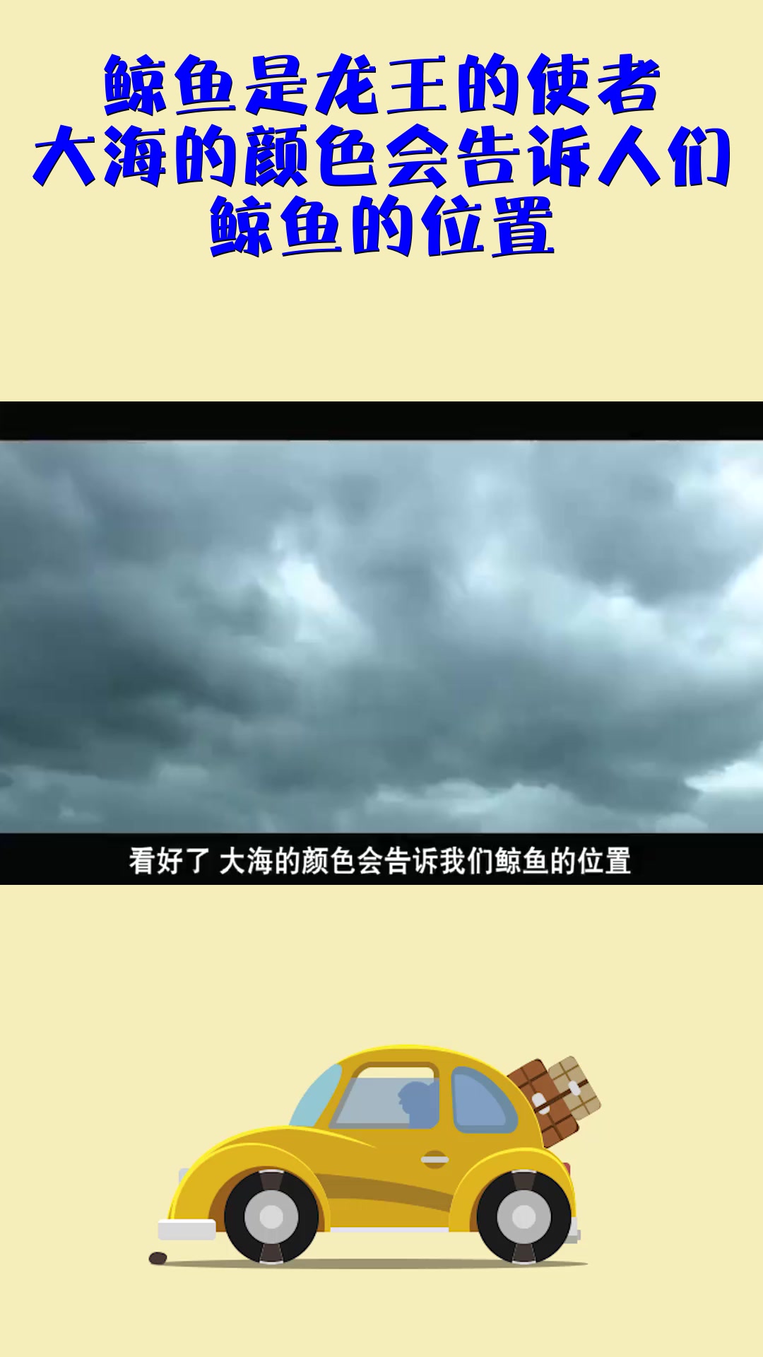 #影视#鲸鱼是龙王的使者,大海的颜色会告诉人们,鲸鱼的位置