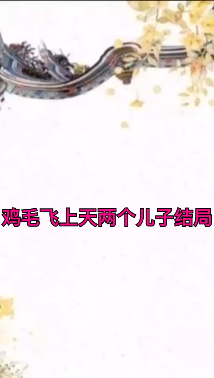 鸡毛飞上天两个儿子结局