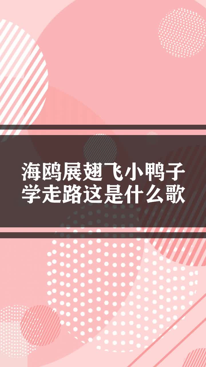 海鸥展翅飞小鸭子学走路这是什么歌