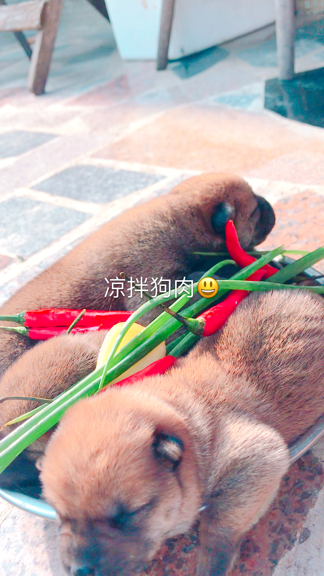 #狗#凉拌狗肉