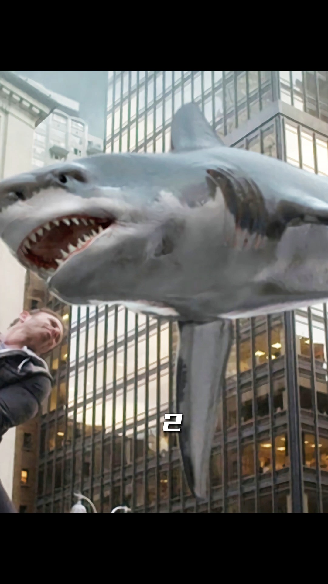 飞天鲨鱼全面入侵城市~