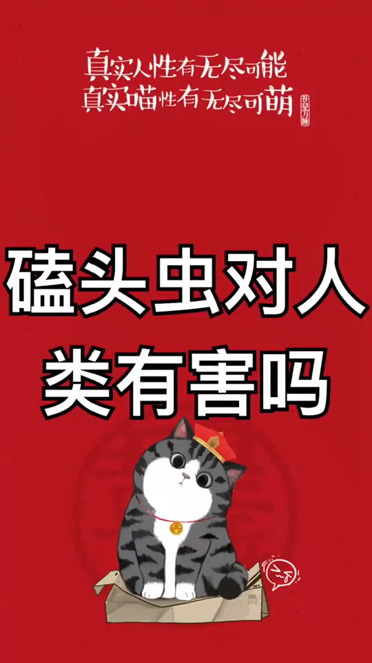 磕头虫对人有什么危害