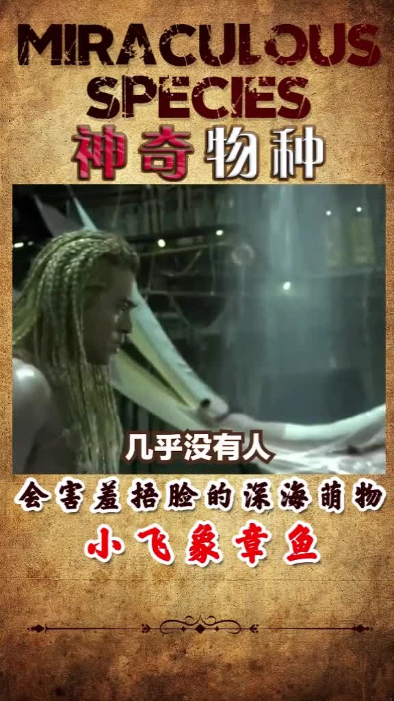 会害羞捂脸求放过的深海萌物,这大概是世界上最可爱的章鱼了吧宠物宠物卖萌
