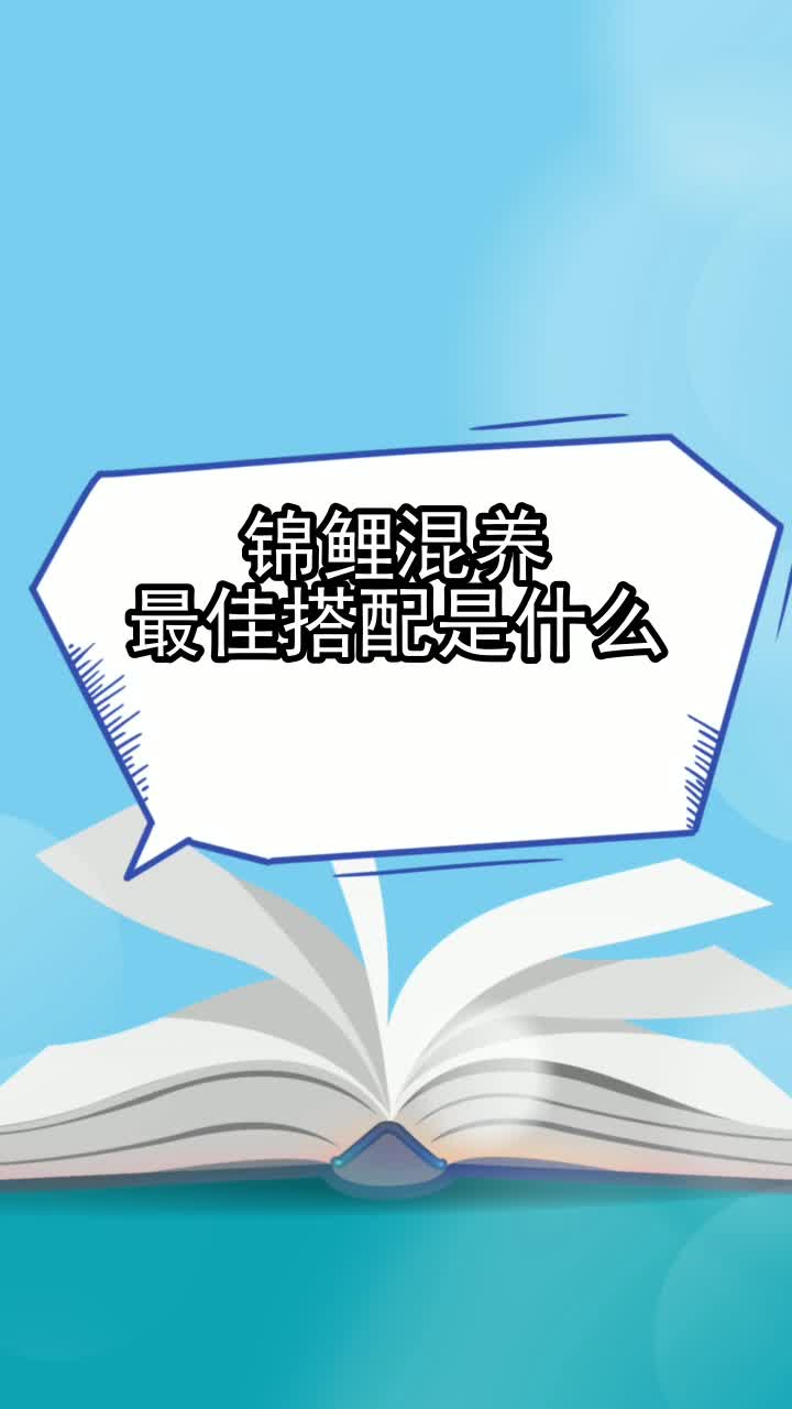 锦鲤混养最佳搭配是什么,你清楚了吗