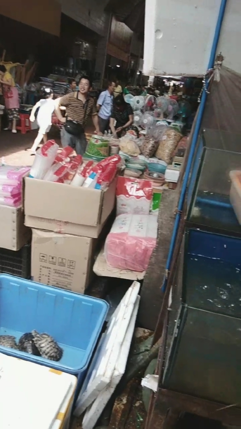 集市生活